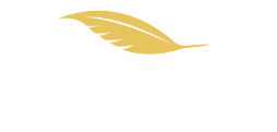 The Dental Touch Logo